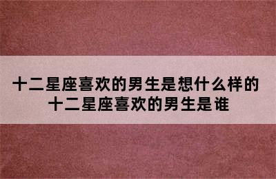 十二星座喜欢的男生是想什么样的 十二星座喜欢的男生是谁